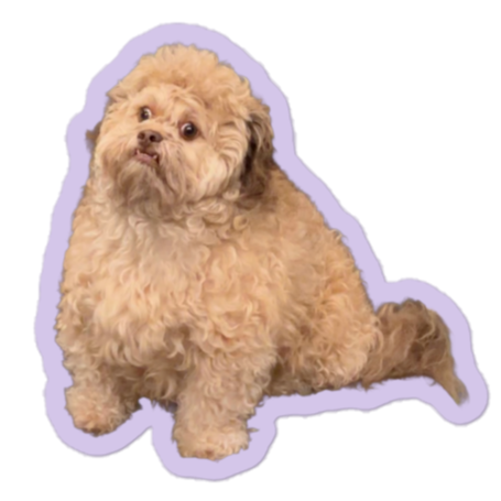 Overwhelmed Max Sticker